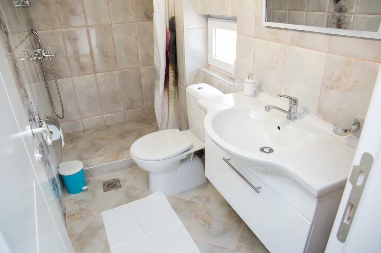 Apartmani "Roshu" ソコバニャ エクステリア 写真